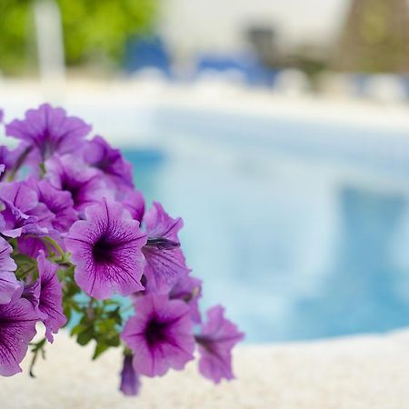 La Crisalida Retreats Apartment El Albir ภายนอก รูปภาพ