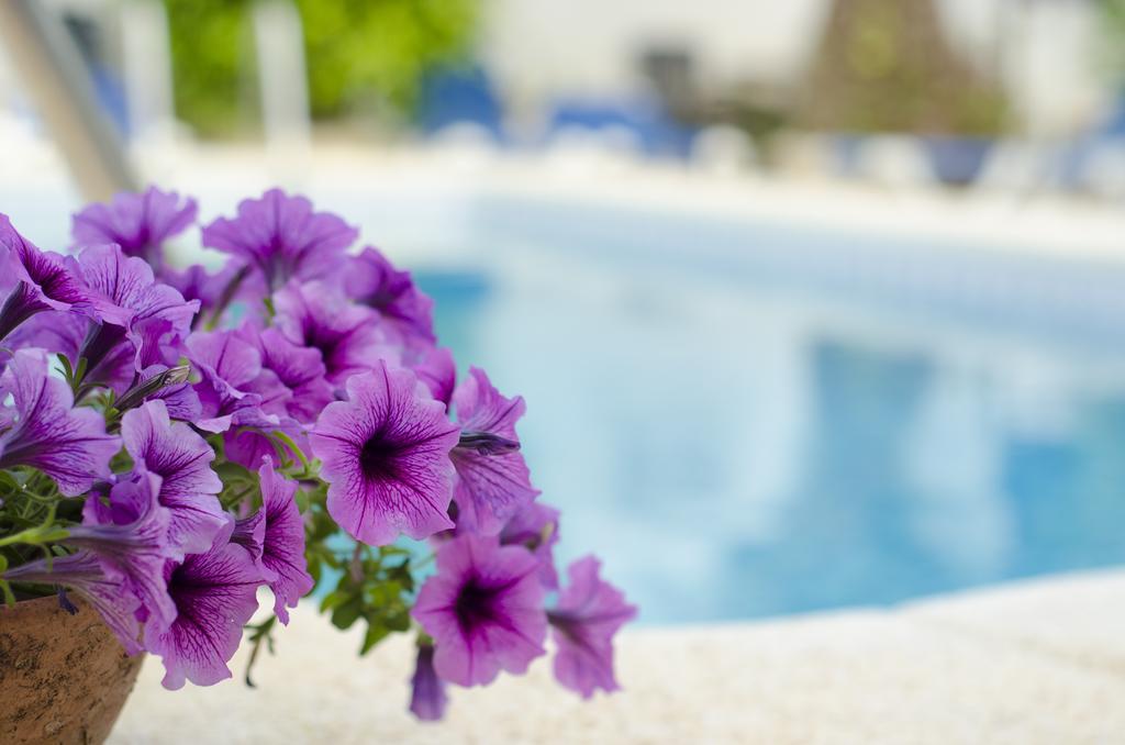 La Crisalida Retreats Apartment El Albir ภายนอก รูปภาพ